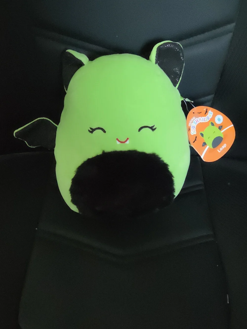 Squishmallows Green and Black Leap Plush Buddy